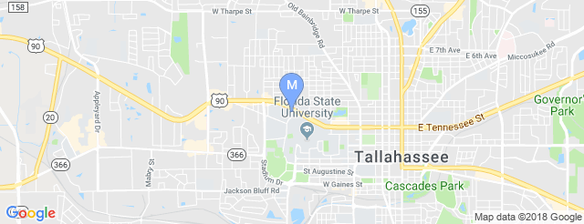 Mike Martin Field at Dick Howser Stadium